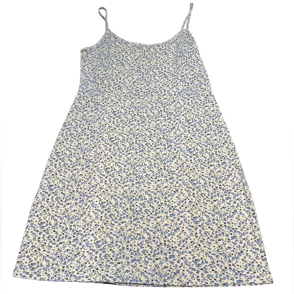 Brandy Melville Blue Floral Kyran Summer Dress